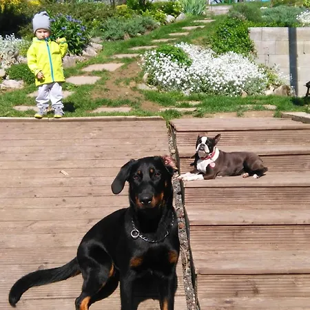 Adavy * Liptovský Mikuláš