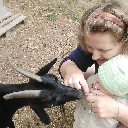 Adavy Appartamento *