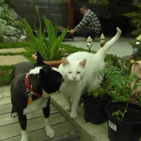 Adavy Liptovský Mikuláš