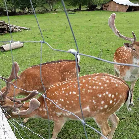 Appartamento Adavy *