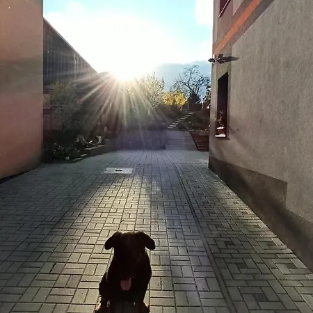 Adavy Appartamento *